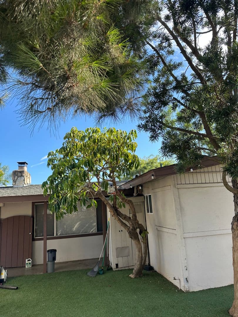 El Cajon House: 565 Pepper Drive
