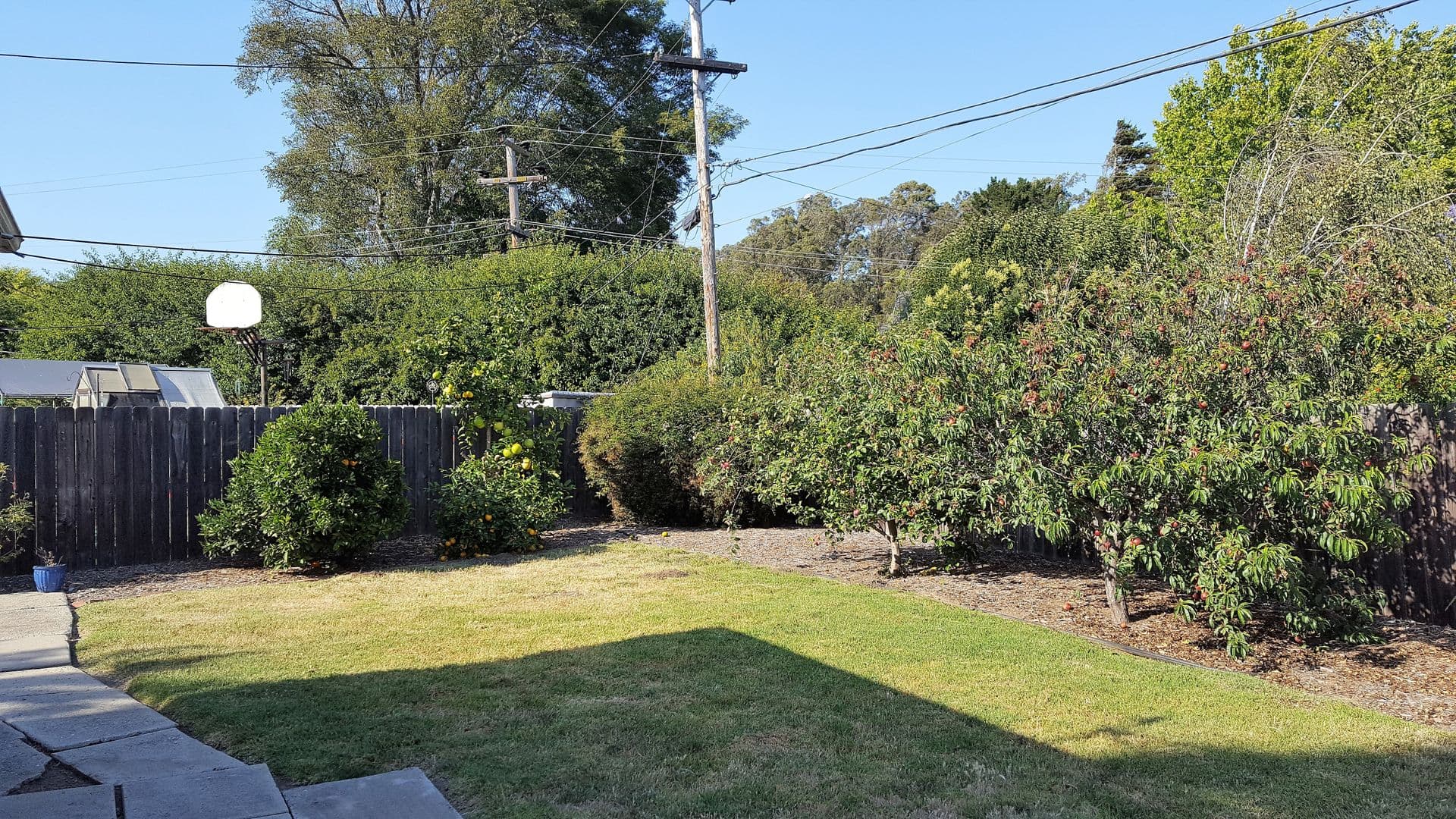 San Luis Obispo House: 1946 Lima Drive