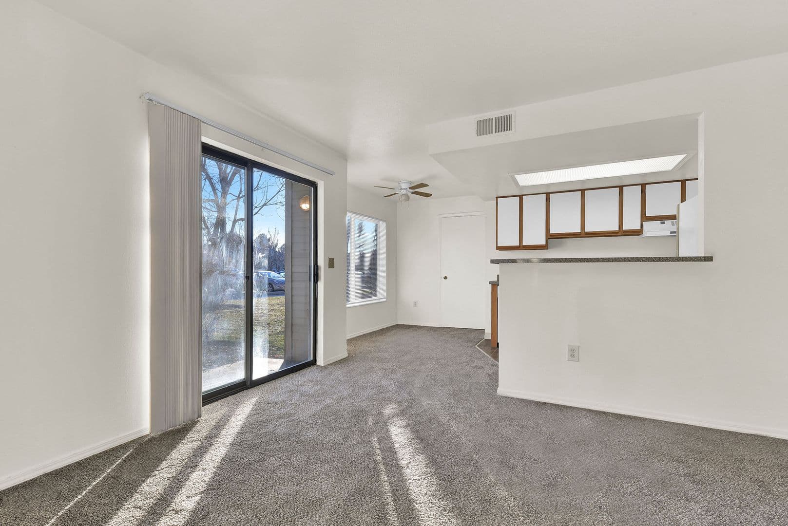 Boise Apartment: 1006 S Hilton ST