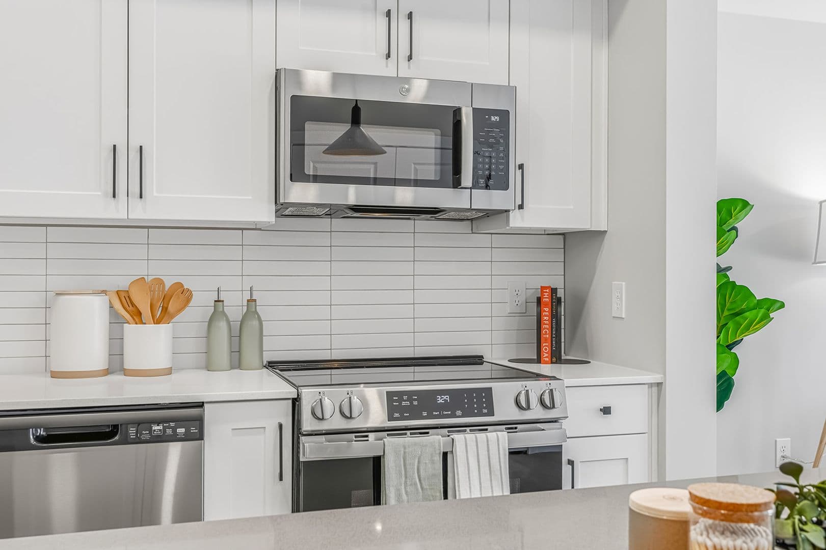 Nampa Apartment: 17051 N Blackmore Ln