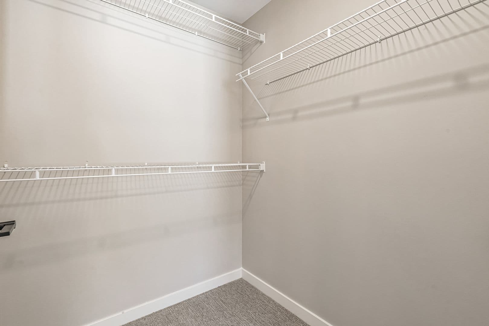 Nampa Apartment: 17051 N Blackmore Ln