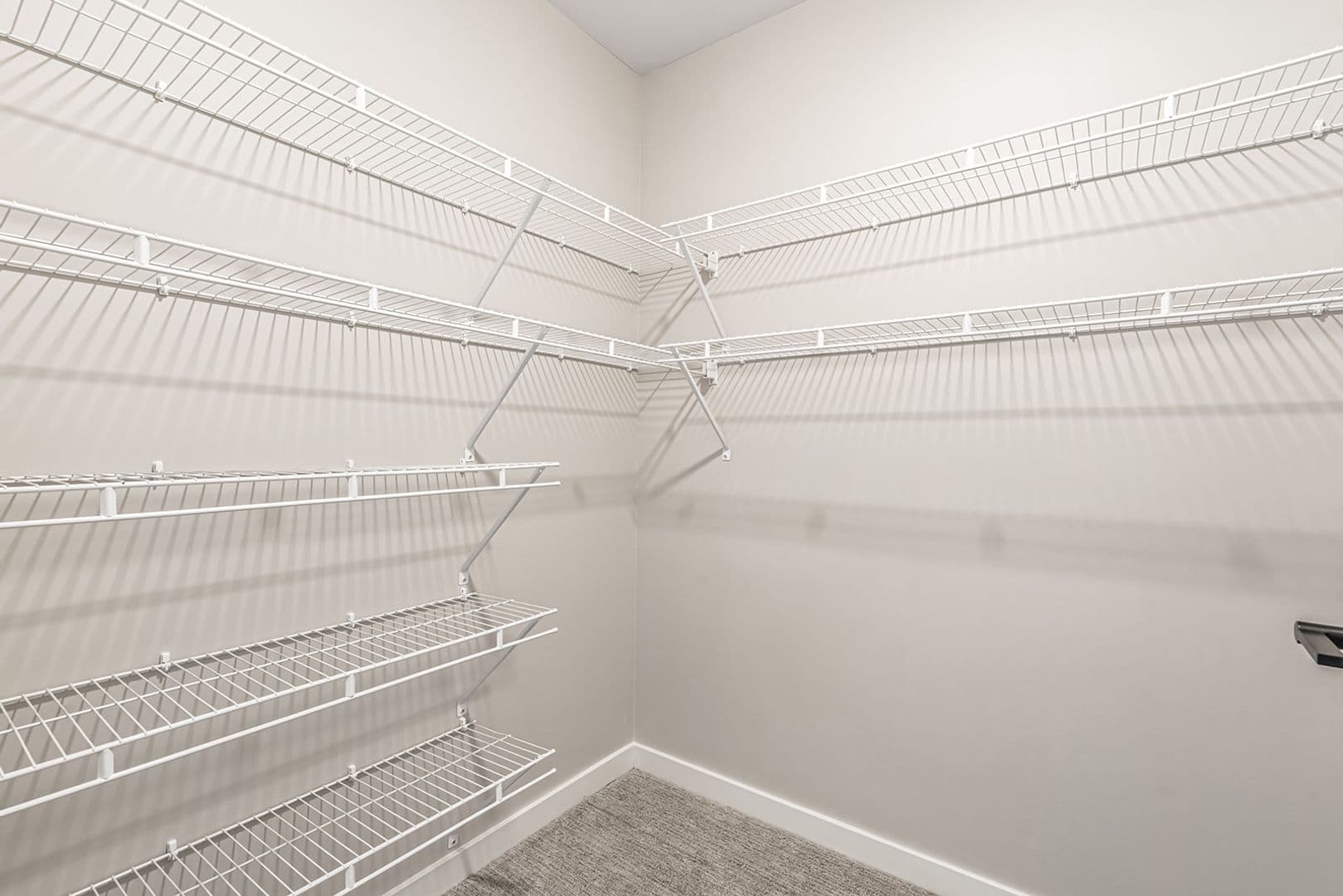 Nampa Apartment: 17051 N Blackmore Ln