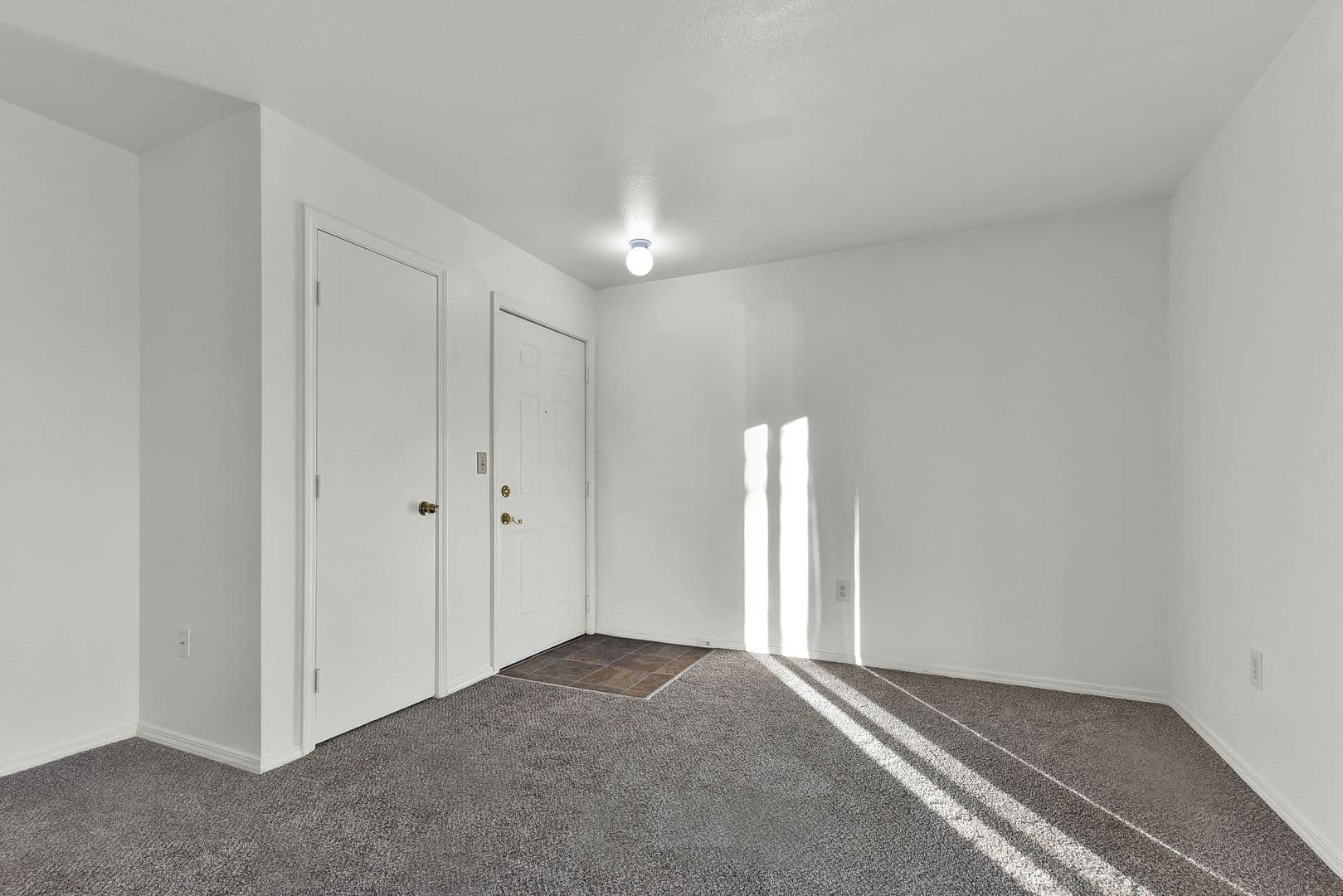 Boise Apartment: 1006 S Hilton ST