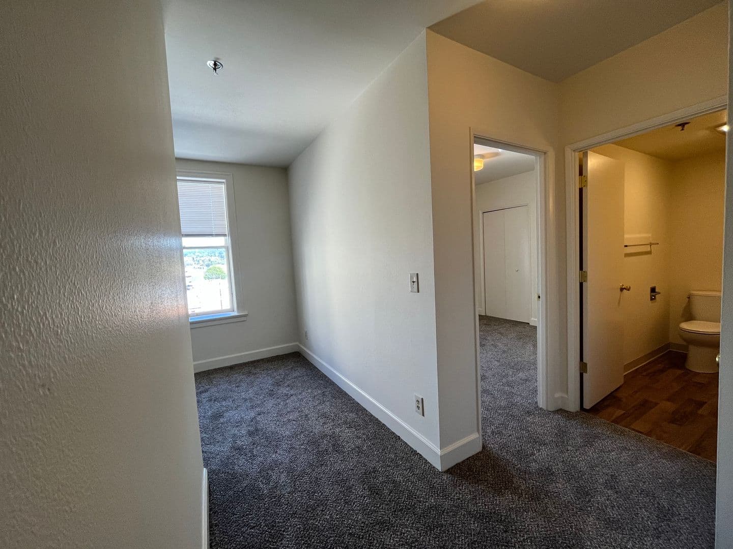 Astoria Apartment: 342 14th st