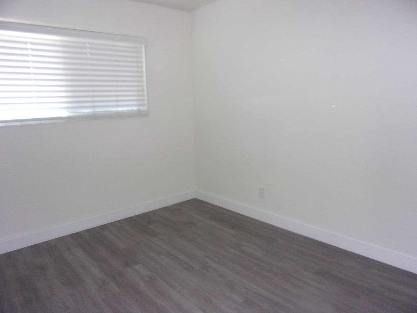Dixon Apartment: 271 W. Walnut Street