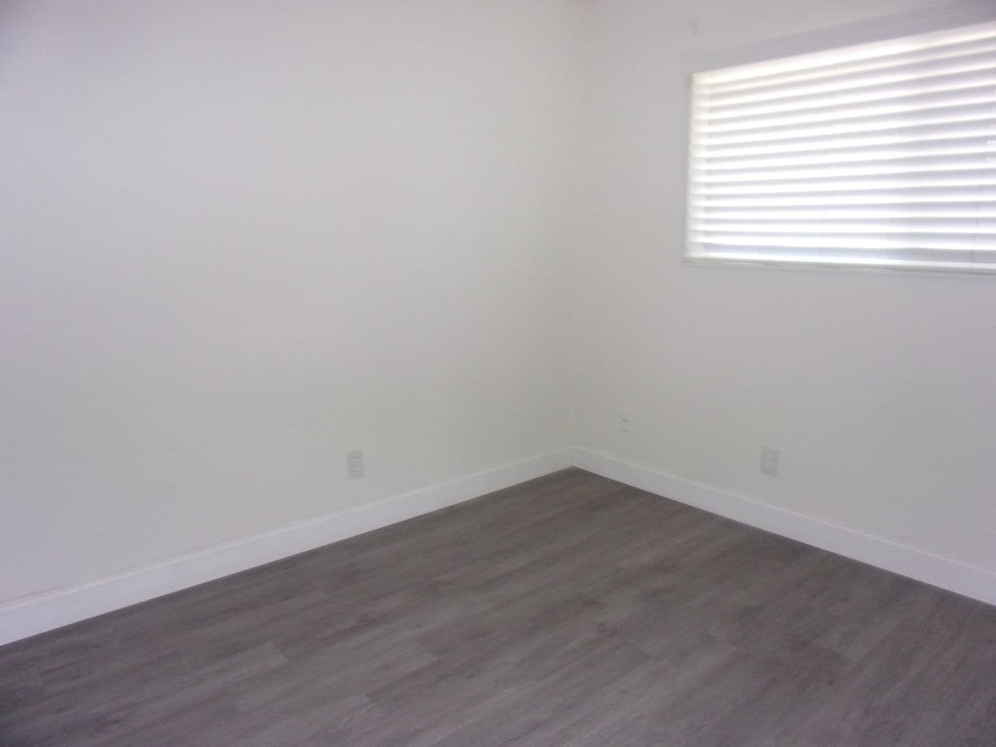 Dixon Apartment: 271 W. Walnut Street
