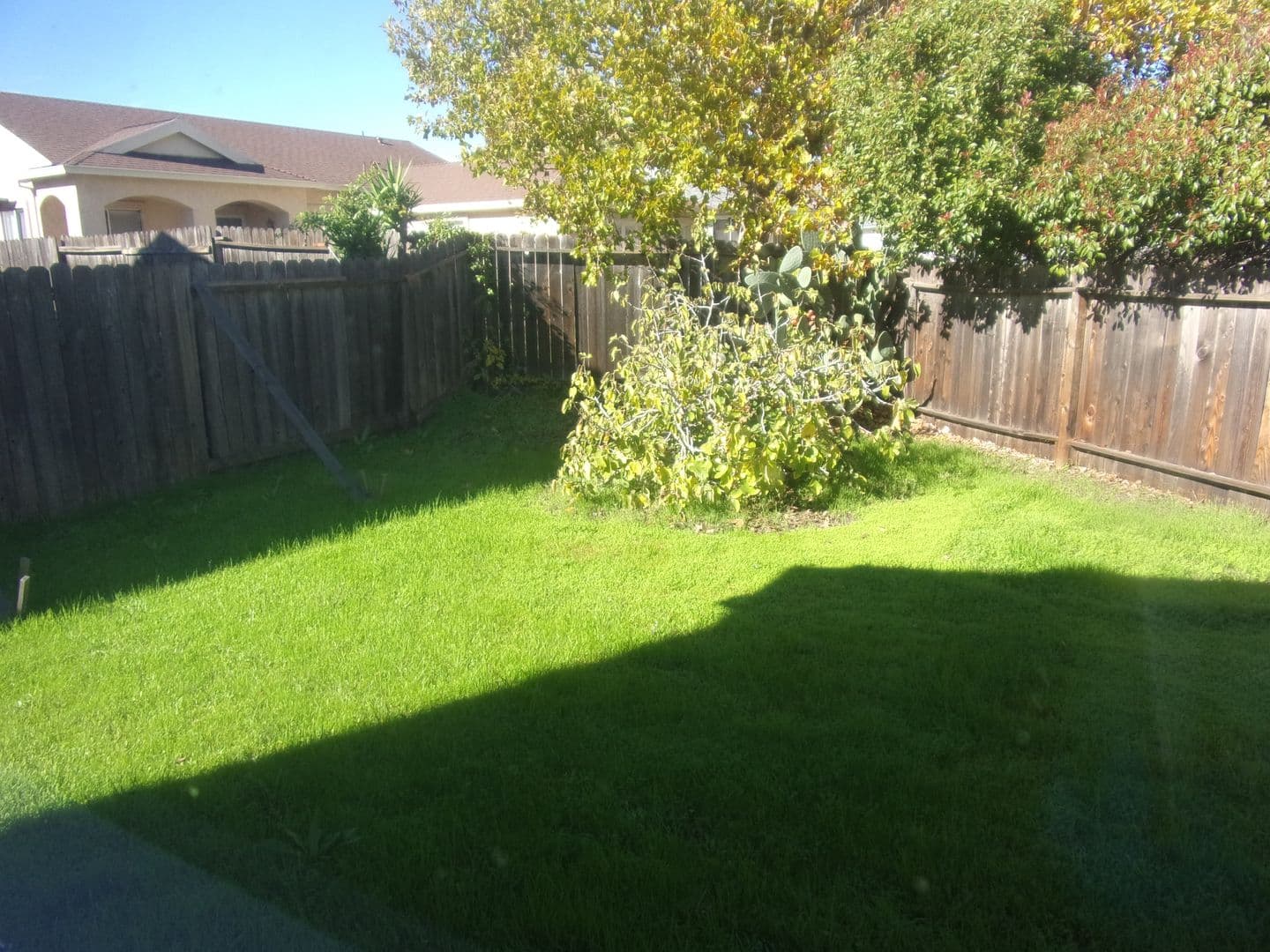 Suisun City House: 1609 Paseo Flores Drive
