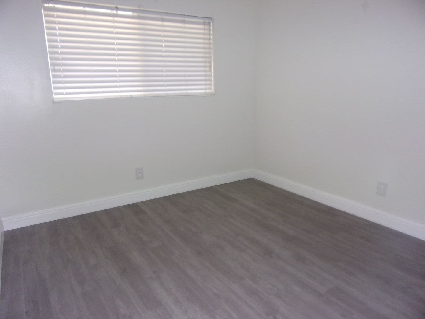 Dixon Apartment: 271 W. Walnut Street