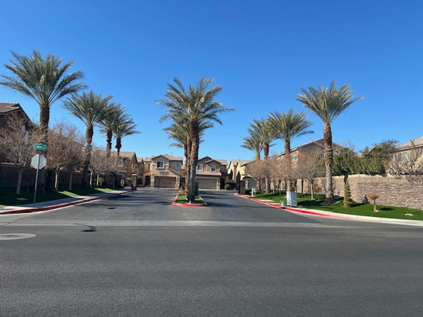 Las Vegas House: 4516 Camille Flora Ct