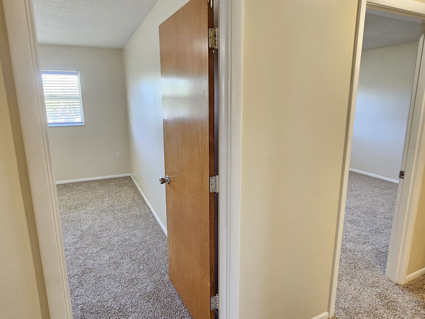 Venice Condo: 245 Center Road #211