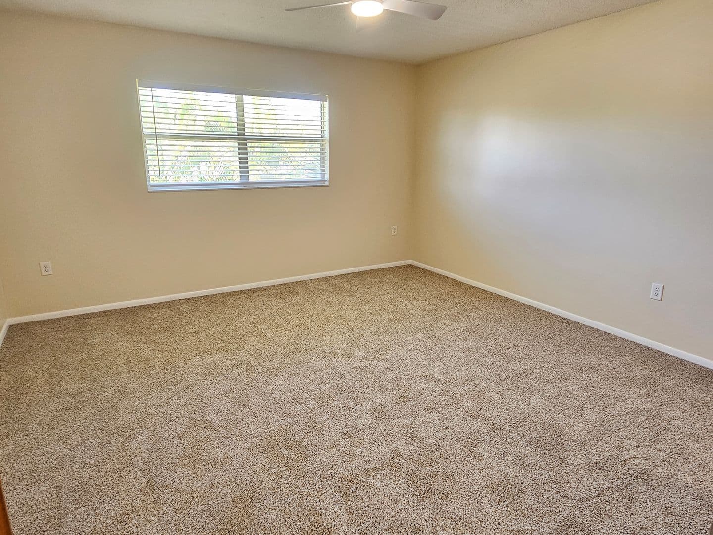 Venice Condo: 245 Center Road #211