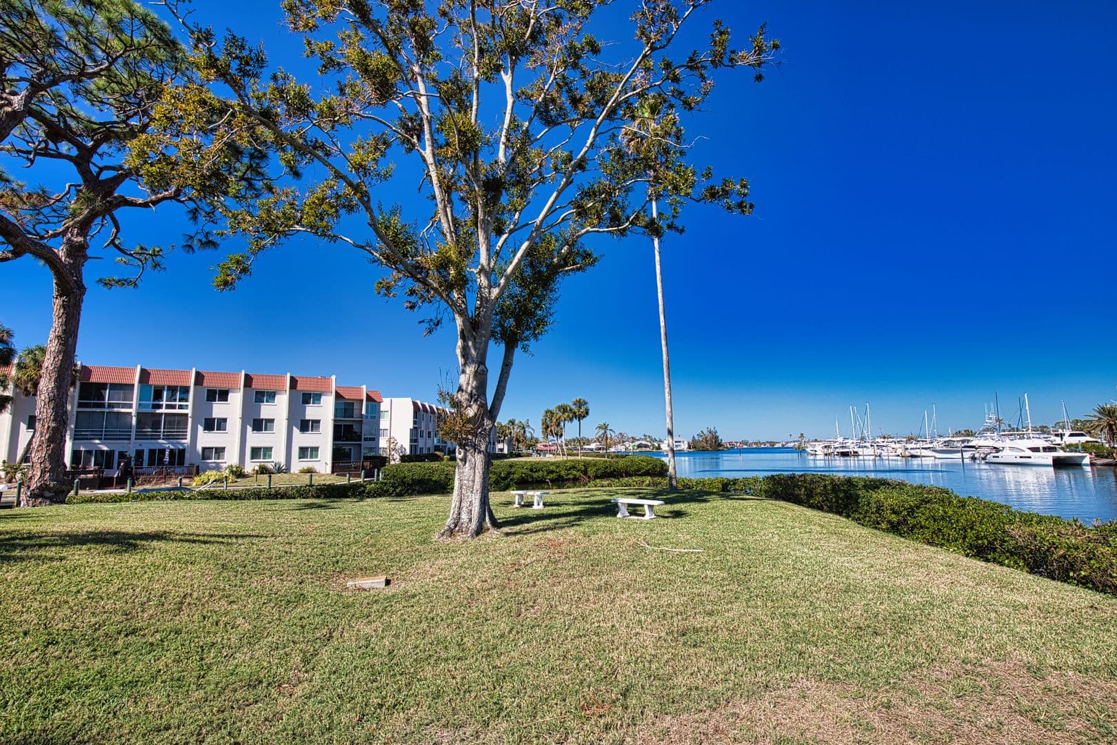 Venice Condo: 220 Santa Maria Street #138