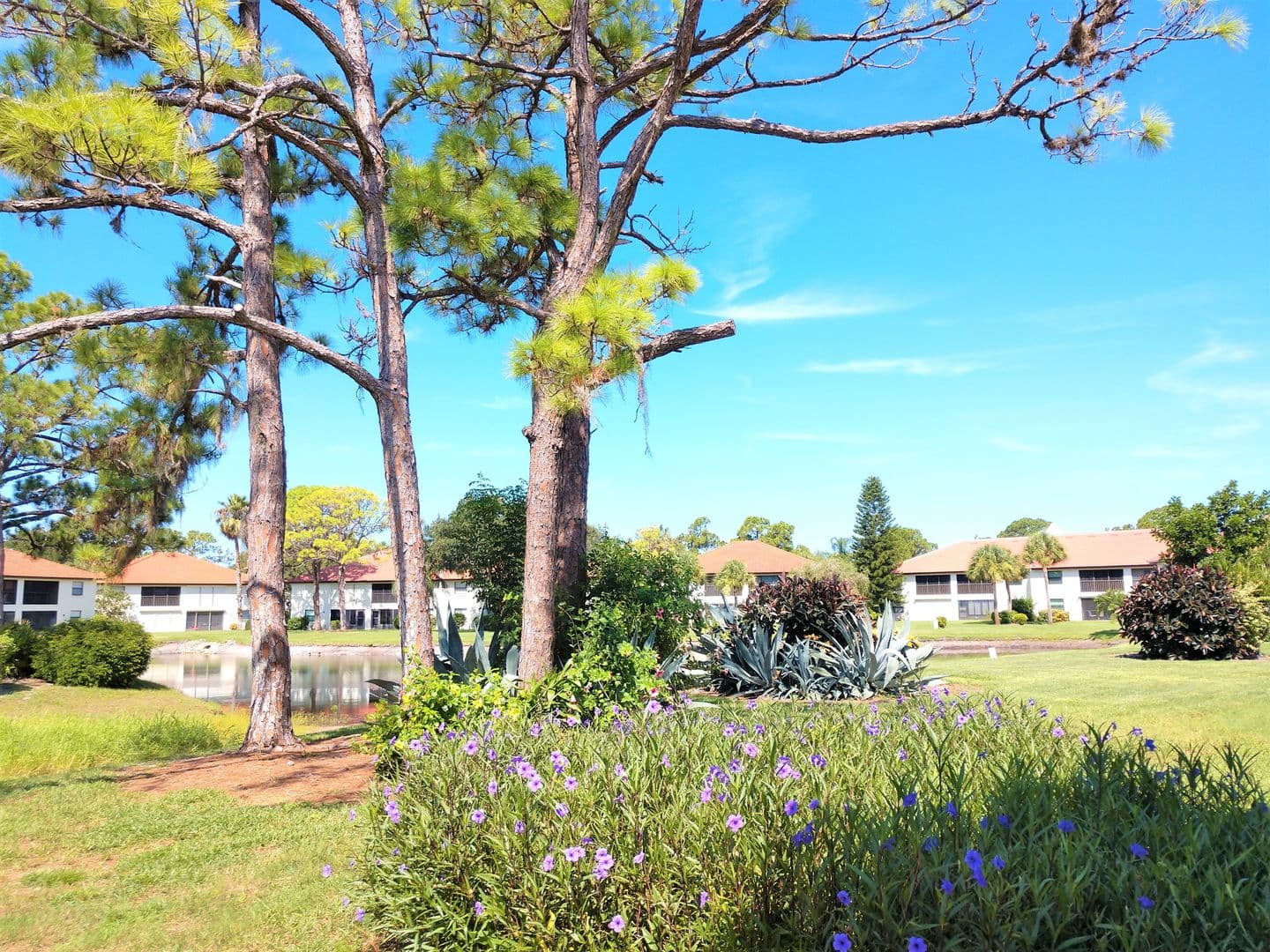 Venice Condo: 307 Pine Hollow Circle #307