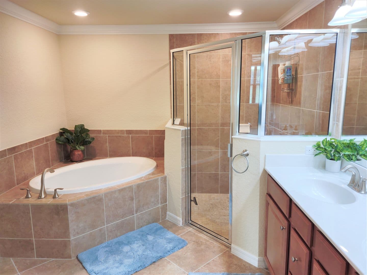Venice Townhome: 20110 Ragazza Circle #101