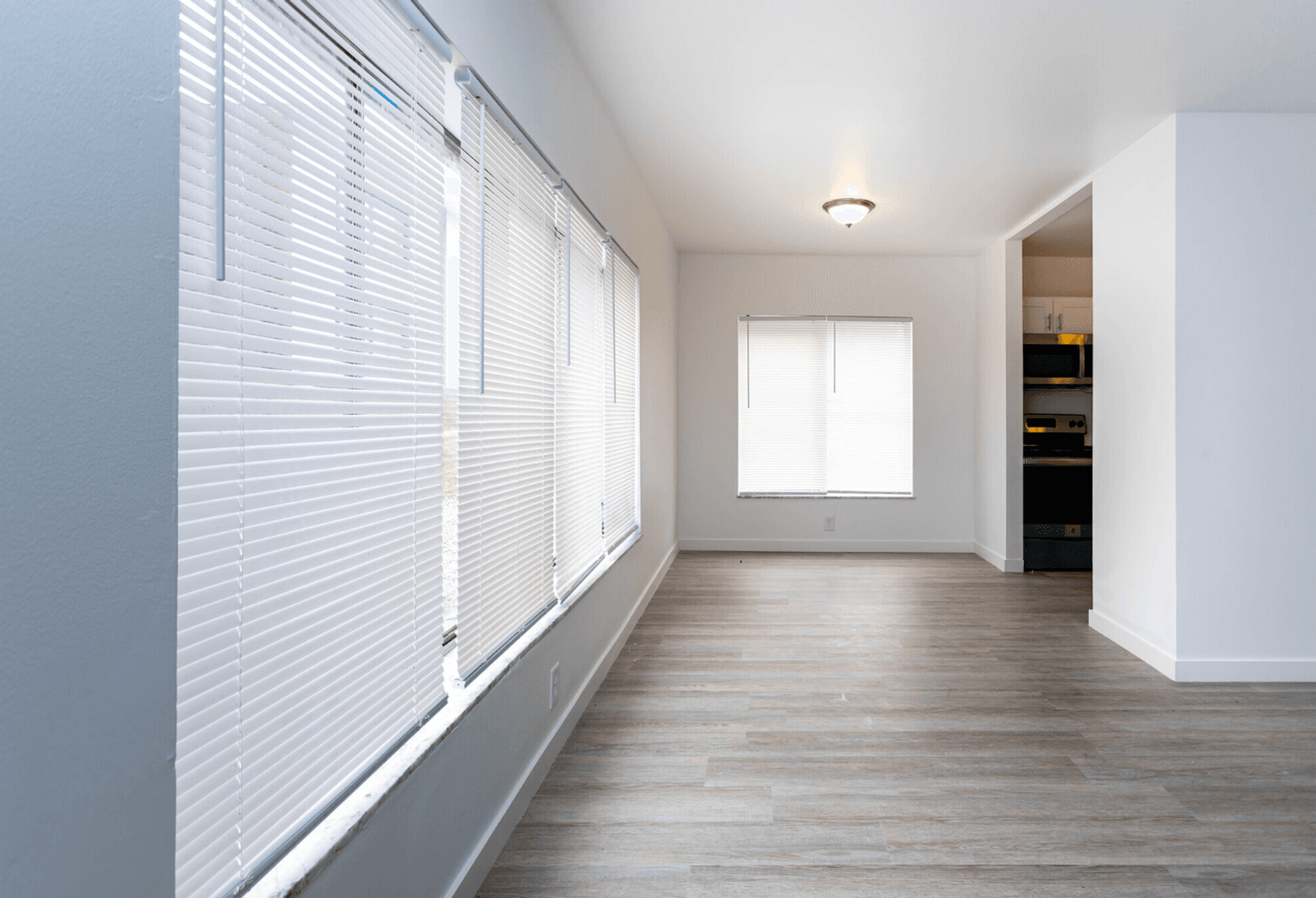 St. Louis Apartment: 3723 Delor Street