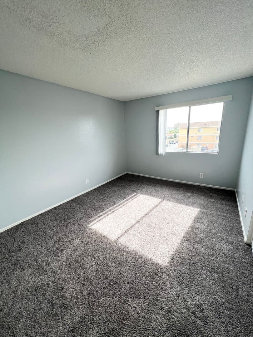 Wilmington Apartment: 606-638