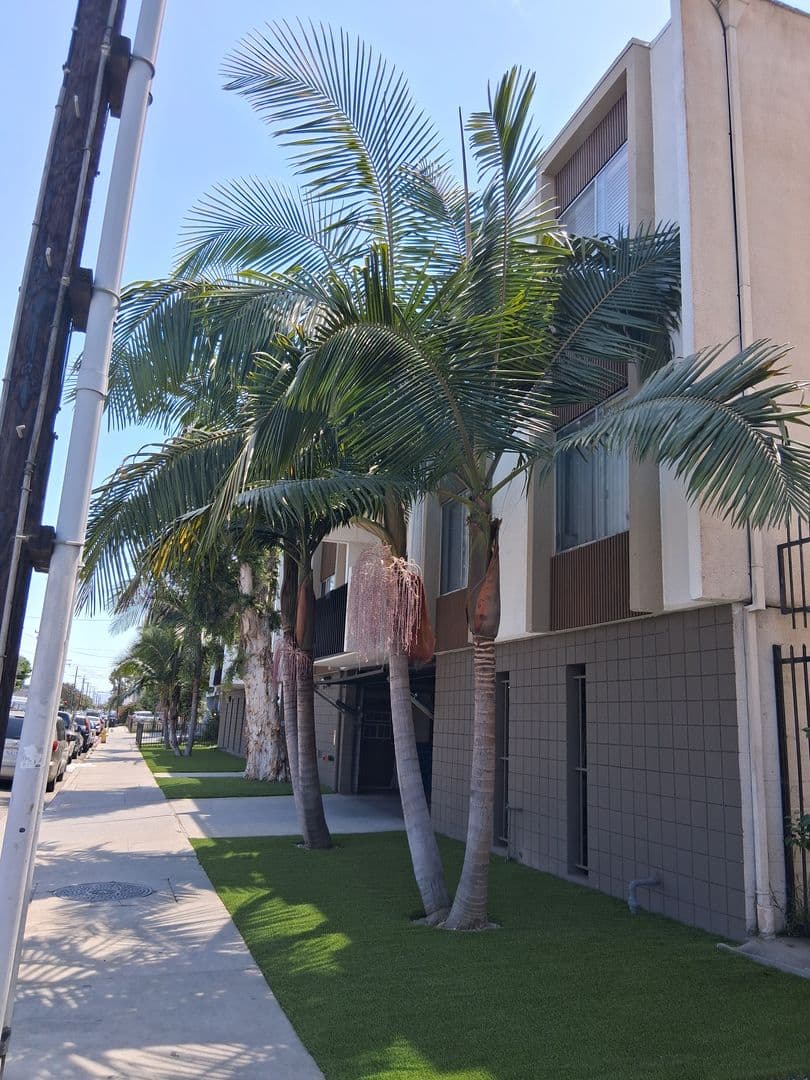 Hawthorne Apartment: 14031 S. Cerise
