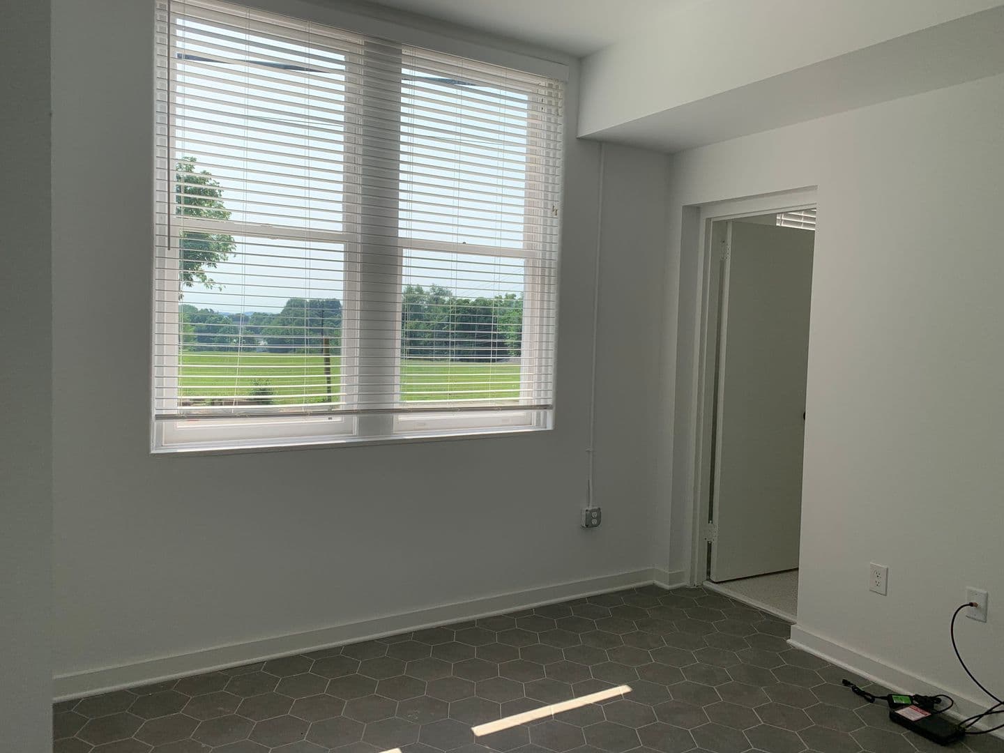 Lynchburg Apartment: 1503 Grace St