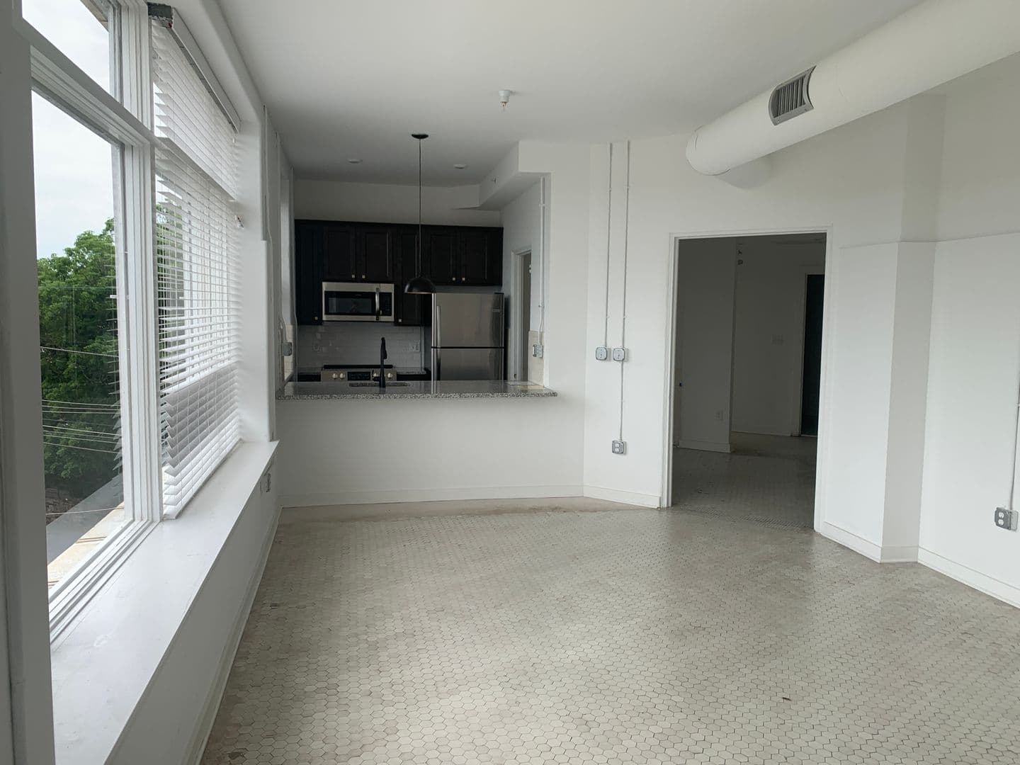 Lynchburg Apartment: 1503 Grace St