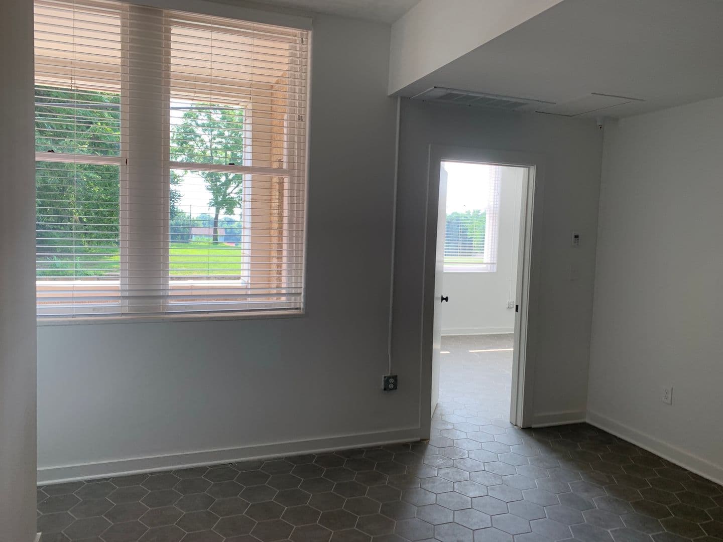 Lynchburg Apartment: 1503 Grace St