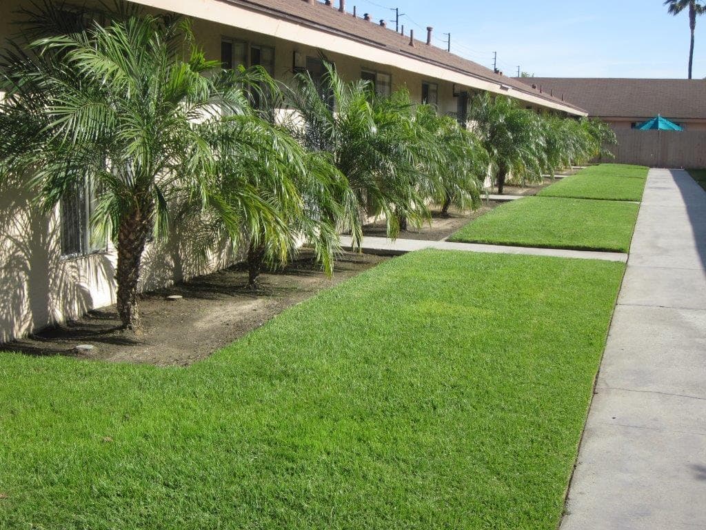 Anaheim Apartment: 2001 South Haster Street