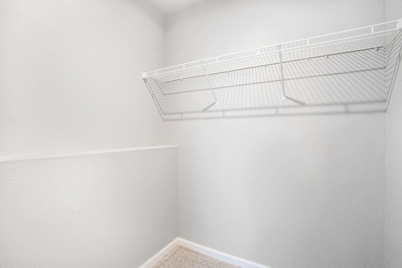 White Pigeon House: 110 Mackenzie Street