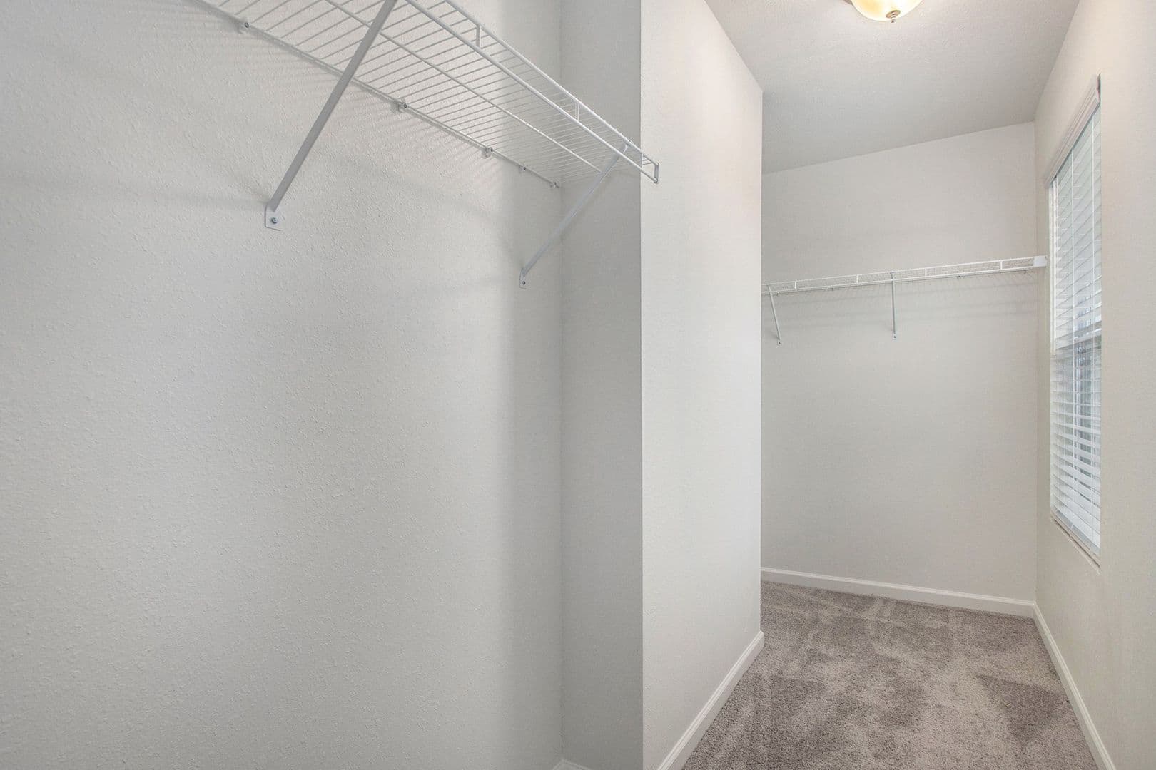 Springfield House: 505 Avalon Court
