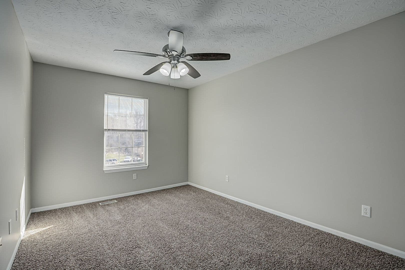 Crittenden Apartment: Harlan Street