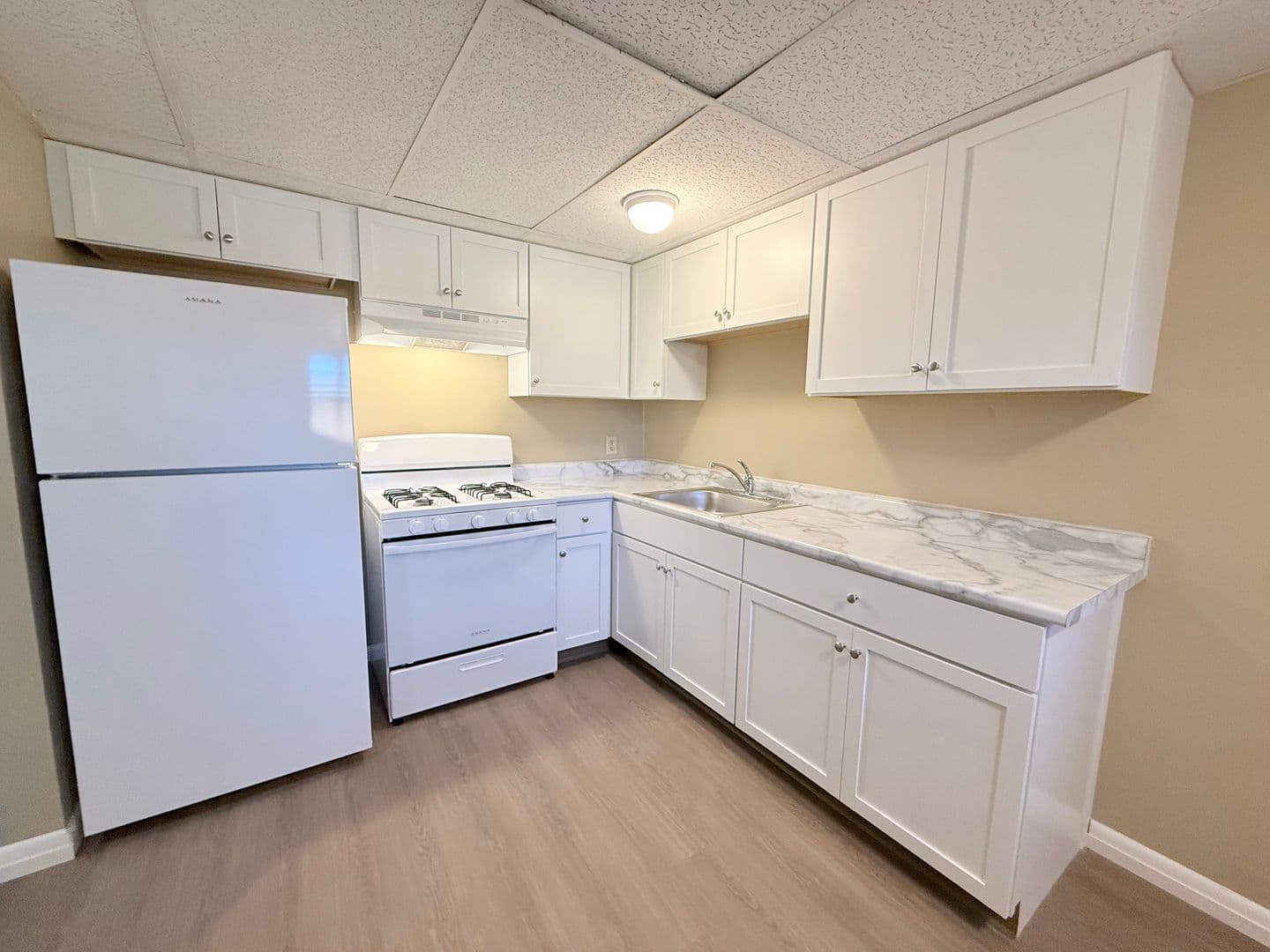 LeRoy Apartment: 209 W. School