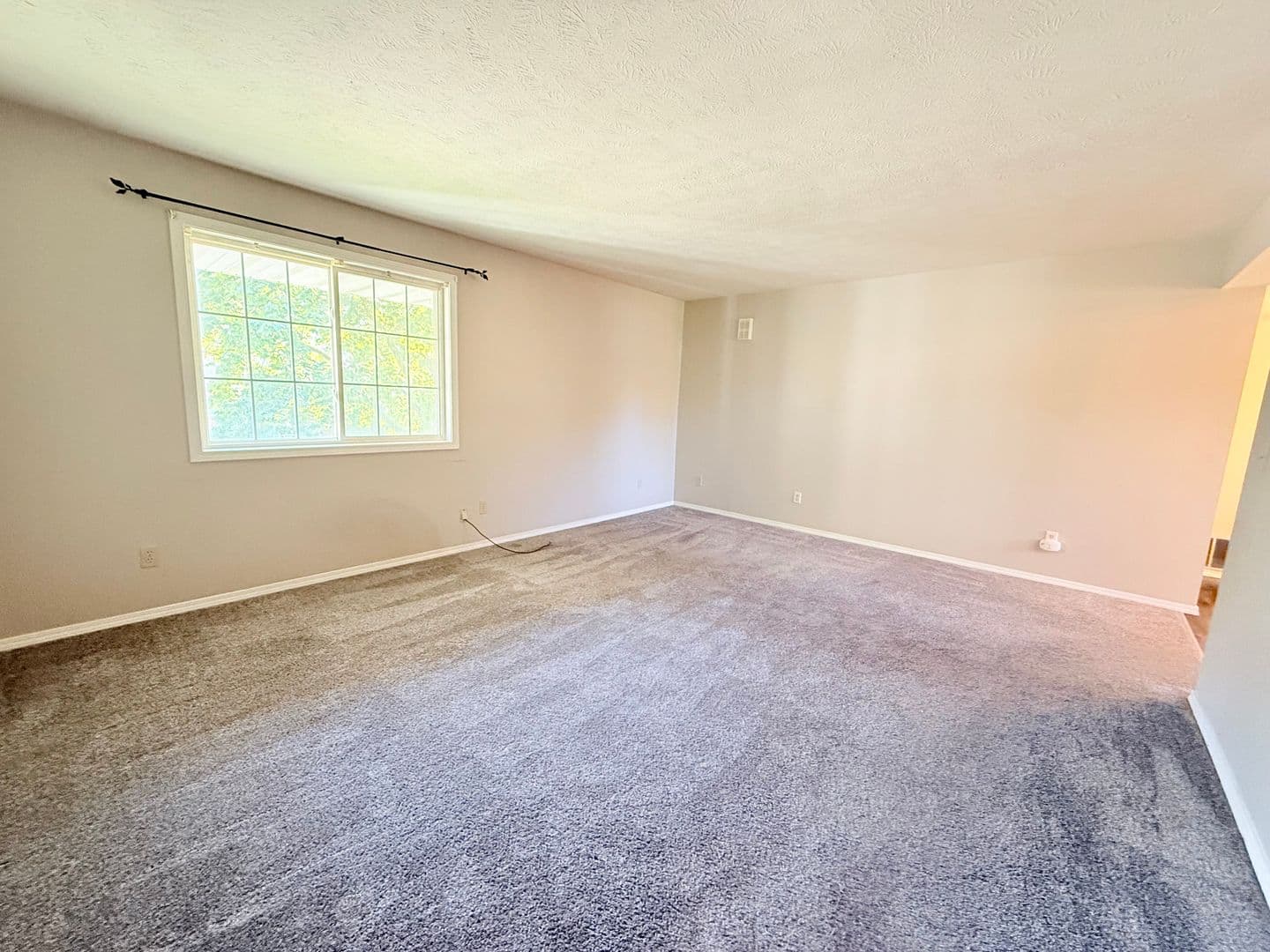 Normal Apartment: 1122 West Ave