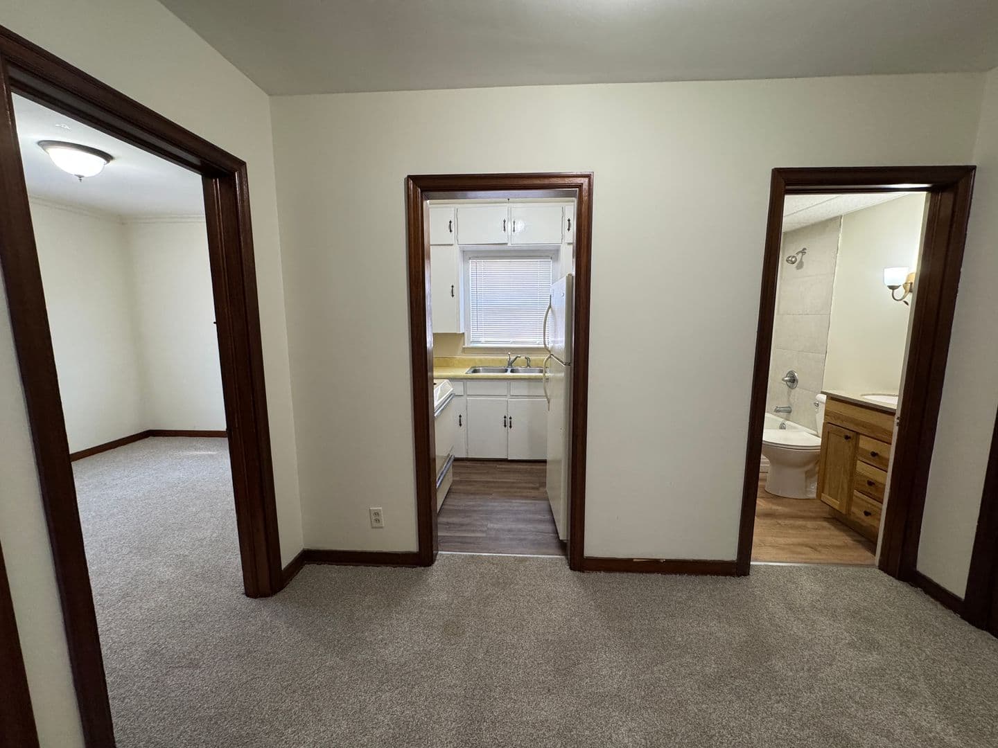Fairbury Apartment: 211 E Walnut