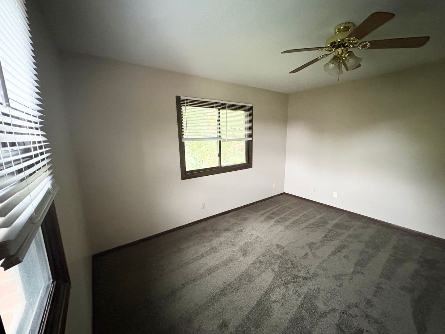 Bloomington Apartment: 6 Willedrob