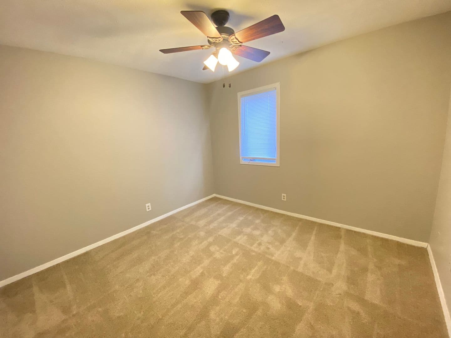 Bloomington Apartment: 2002-2004 Rainbow