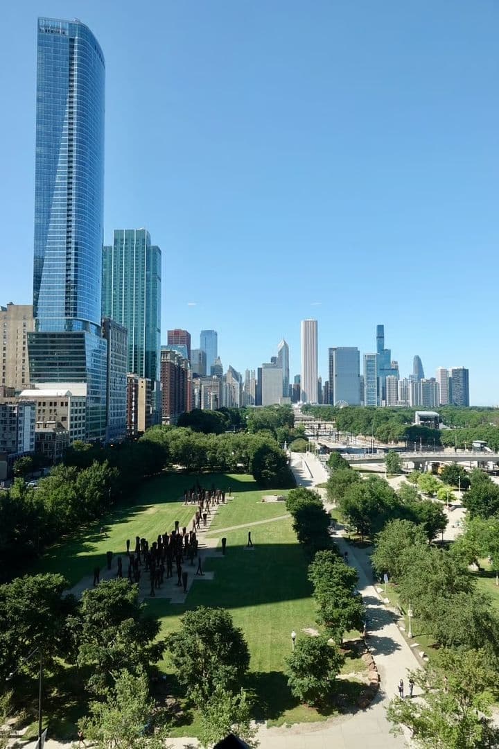 Chicago Condo: 1210 S Indiana Ave