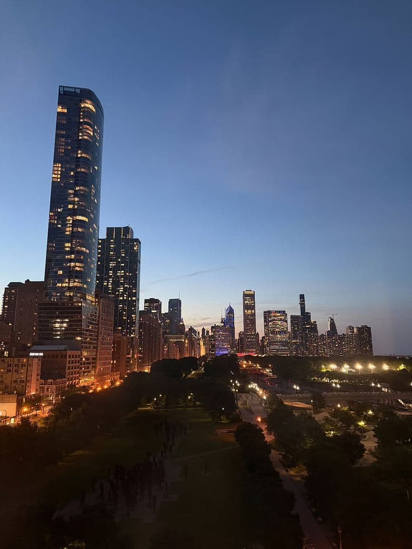 Chicago Condo: 1210 S Indiana Ave