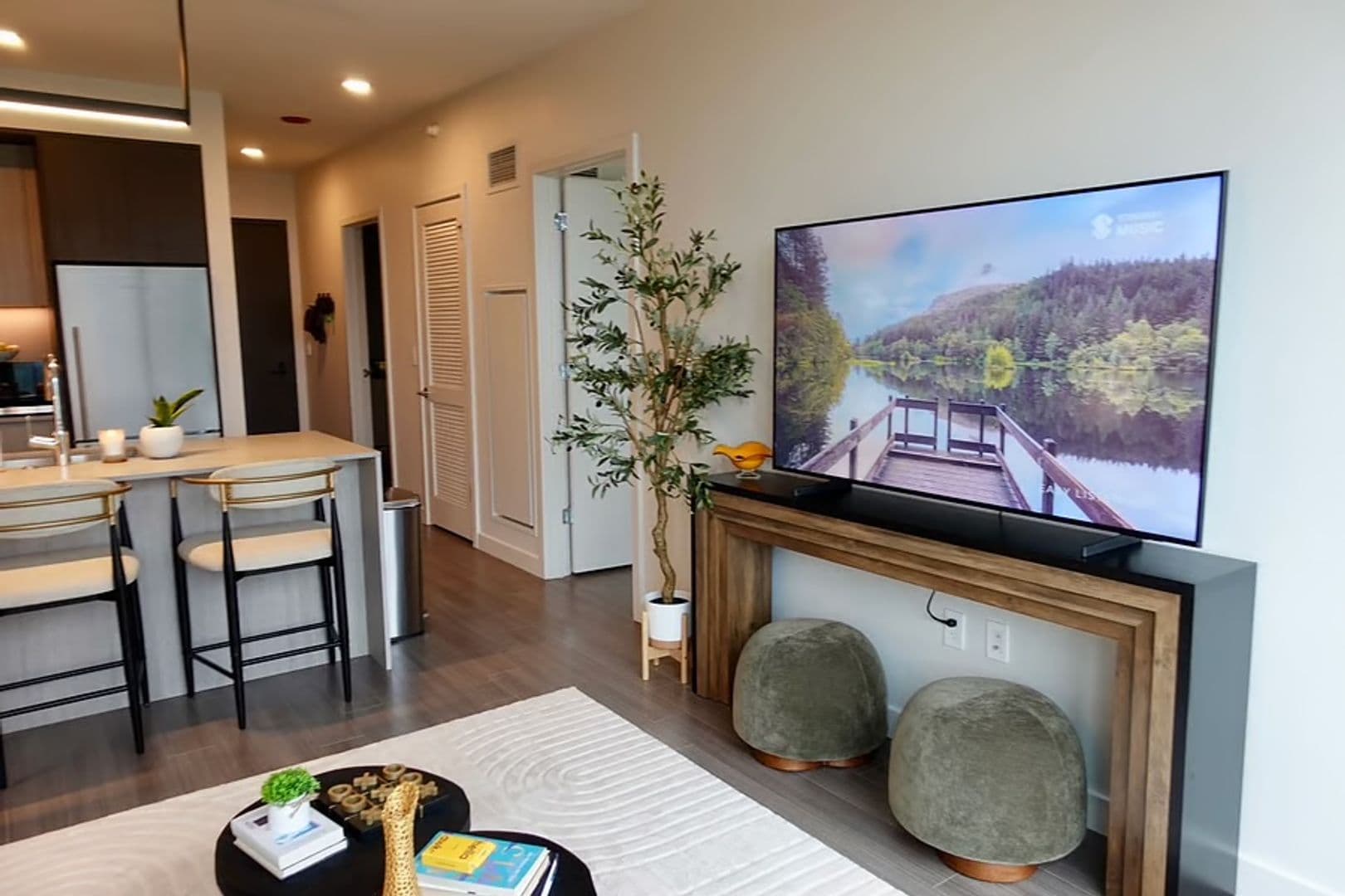 Chicago Condo: 1210 S Indiana Ave