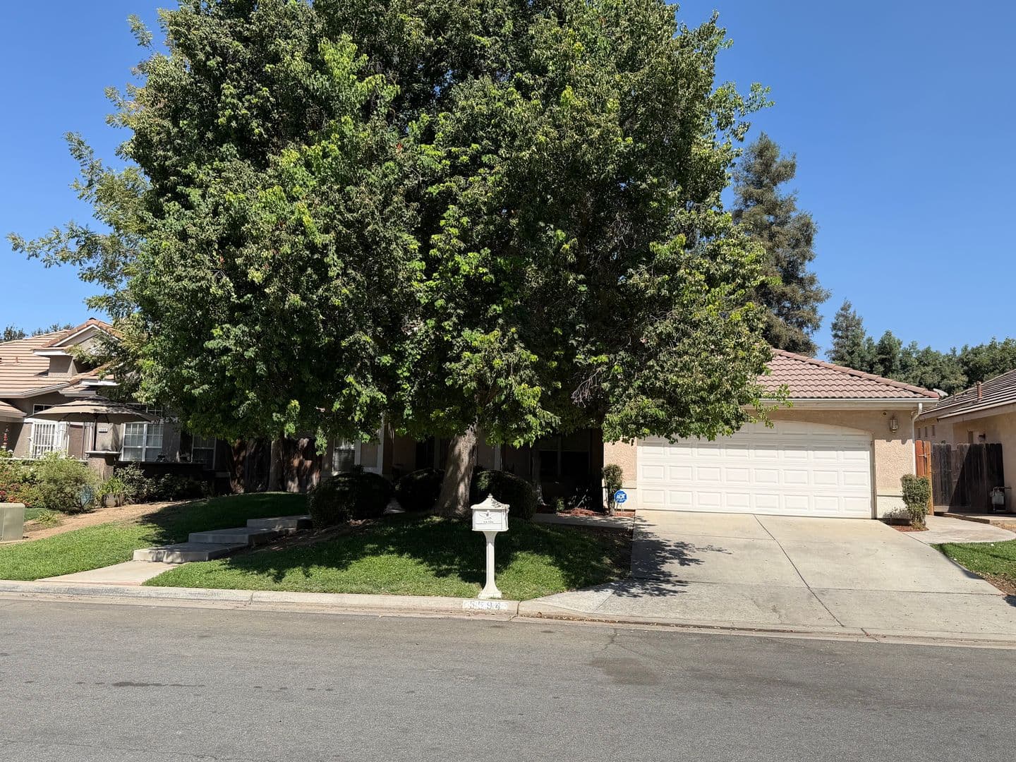 Fresno House: 5594 W. Bluff Avenue