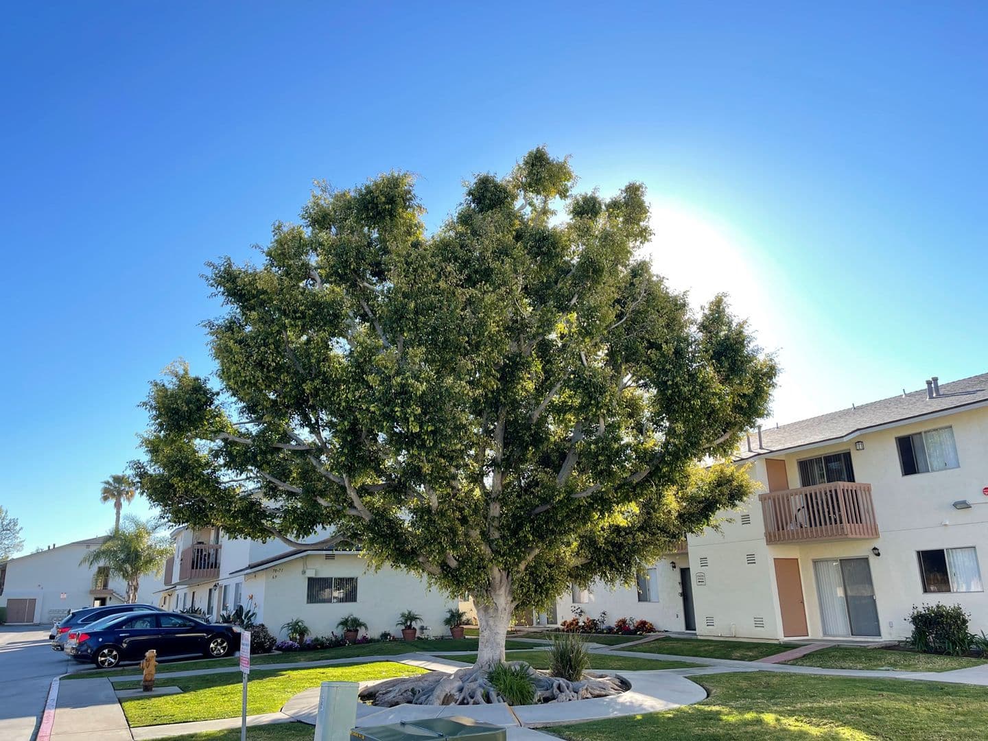 Chula Vista Apartment: 1241 5th Ave.