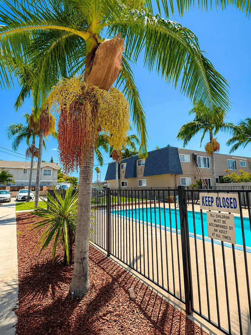 Chula Vista Apartment: 636 F St
