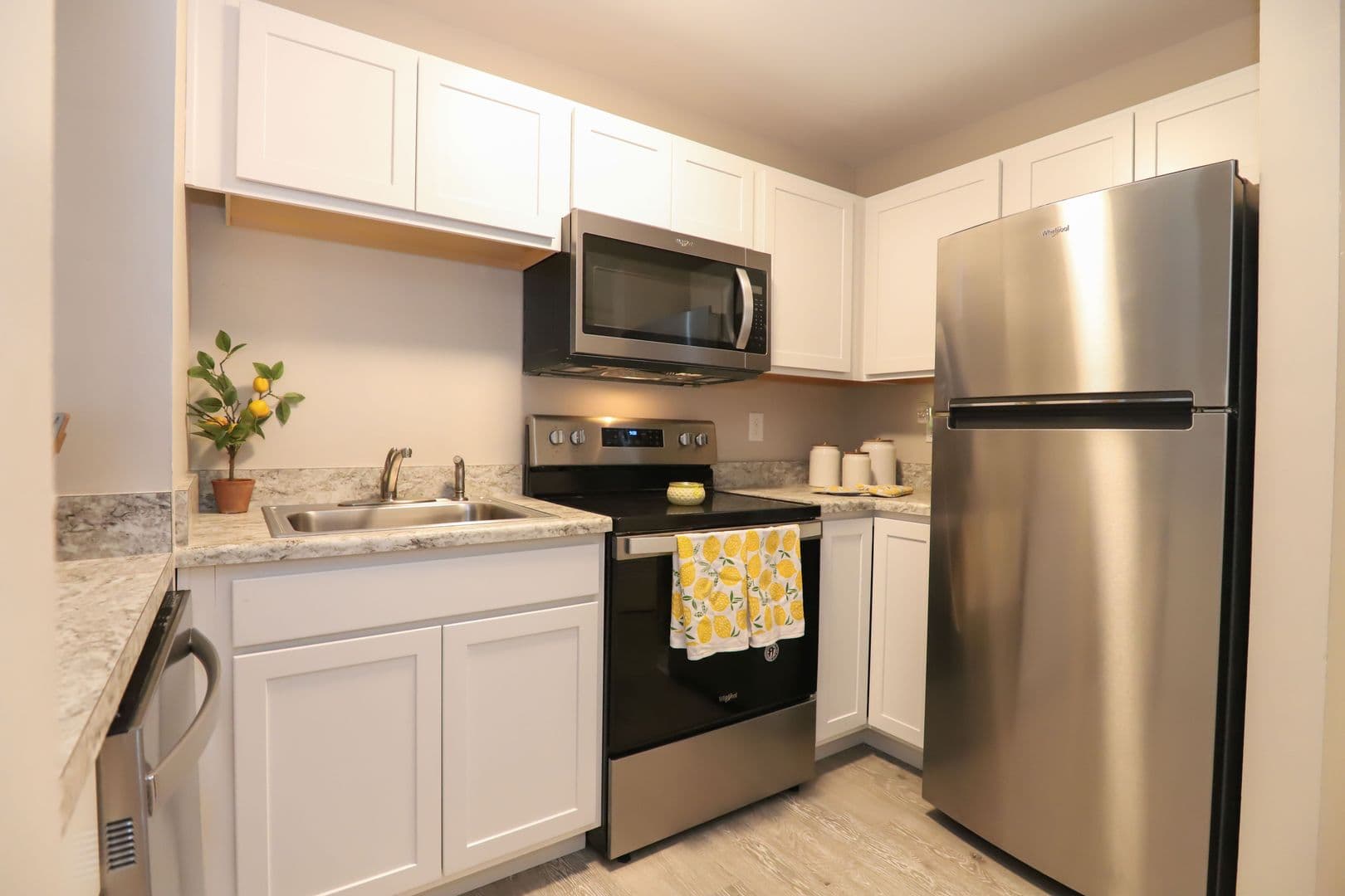 Lexington Apartment: 129 Transcript Avenue #2