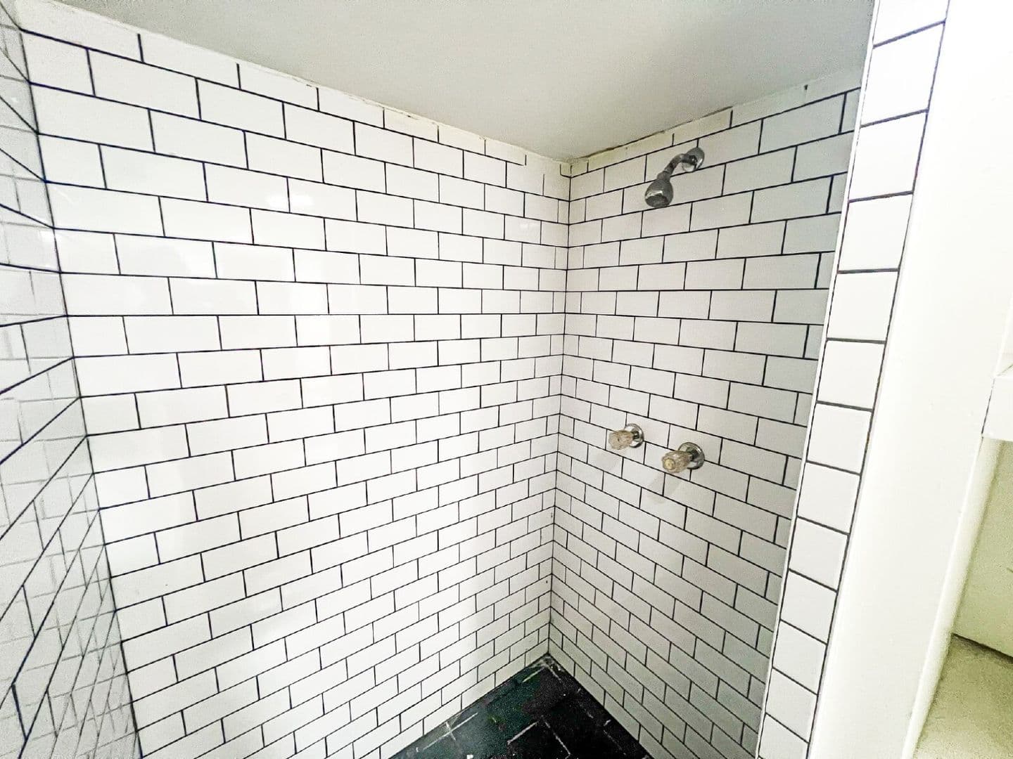 Cleveland House: 307 S Rosehill Ave