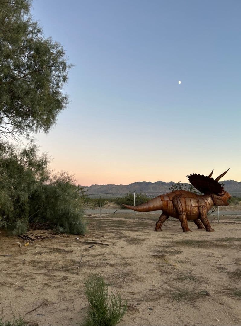 Joshua Tree House: 65076 E Broadway