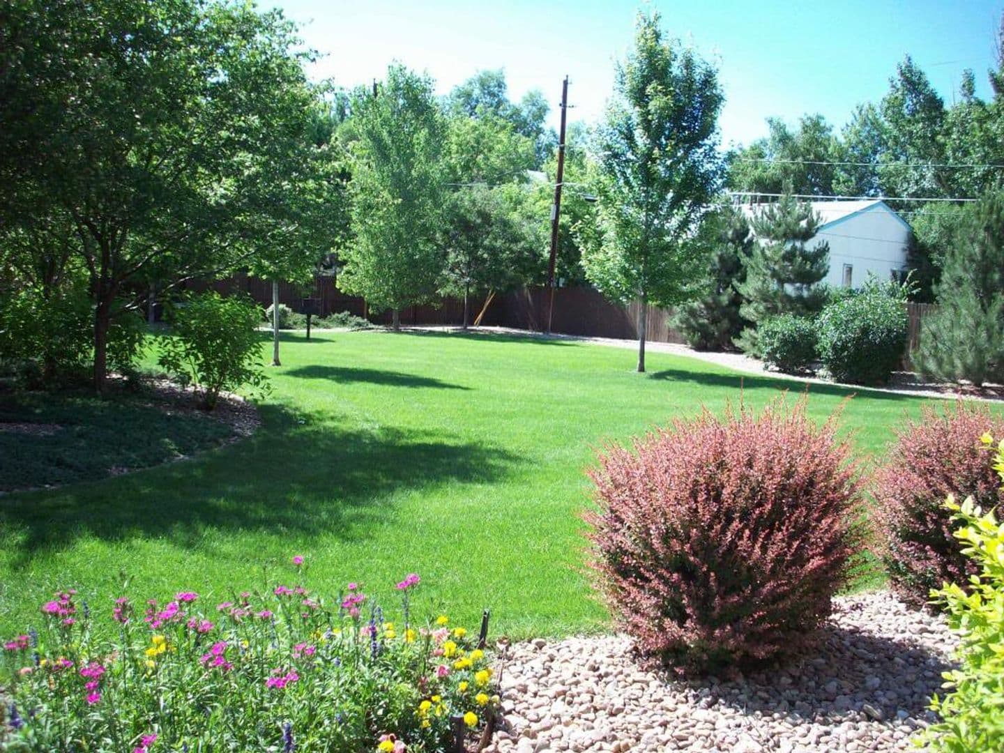 Arvada Apartment: 5379 Balsam St.