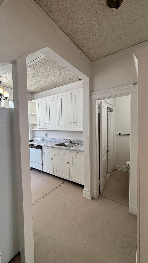 Colorado Springs Apartment: 1507 N Nevada Ave