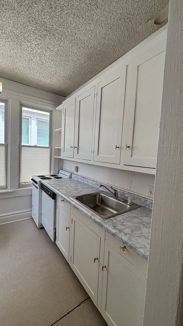 Colorado Springs Apartment: 1507 N Nevada Ave