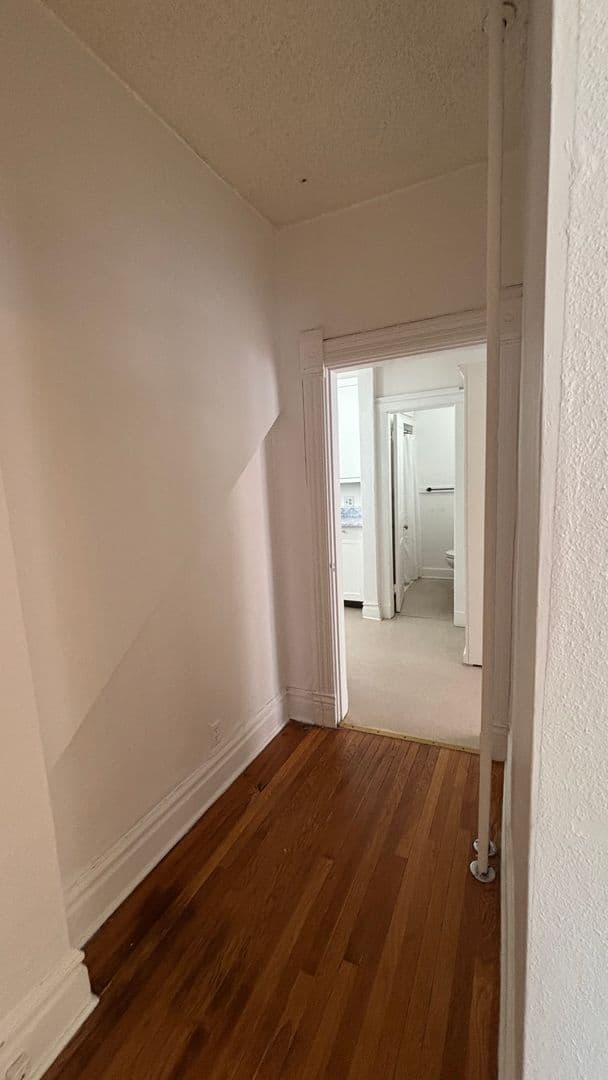 Colorado Springs Apartment: 1507 N Nevada Ave