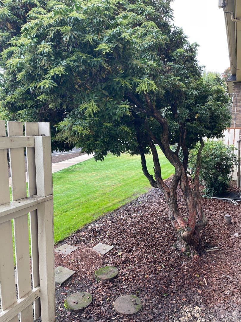 Salem Apartment: 1102-1180 Pine St NE