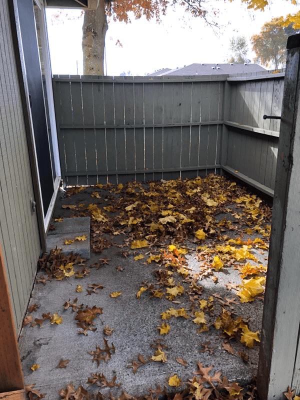 Albany Apartment: 5001 Pacific Blvd SW, Office