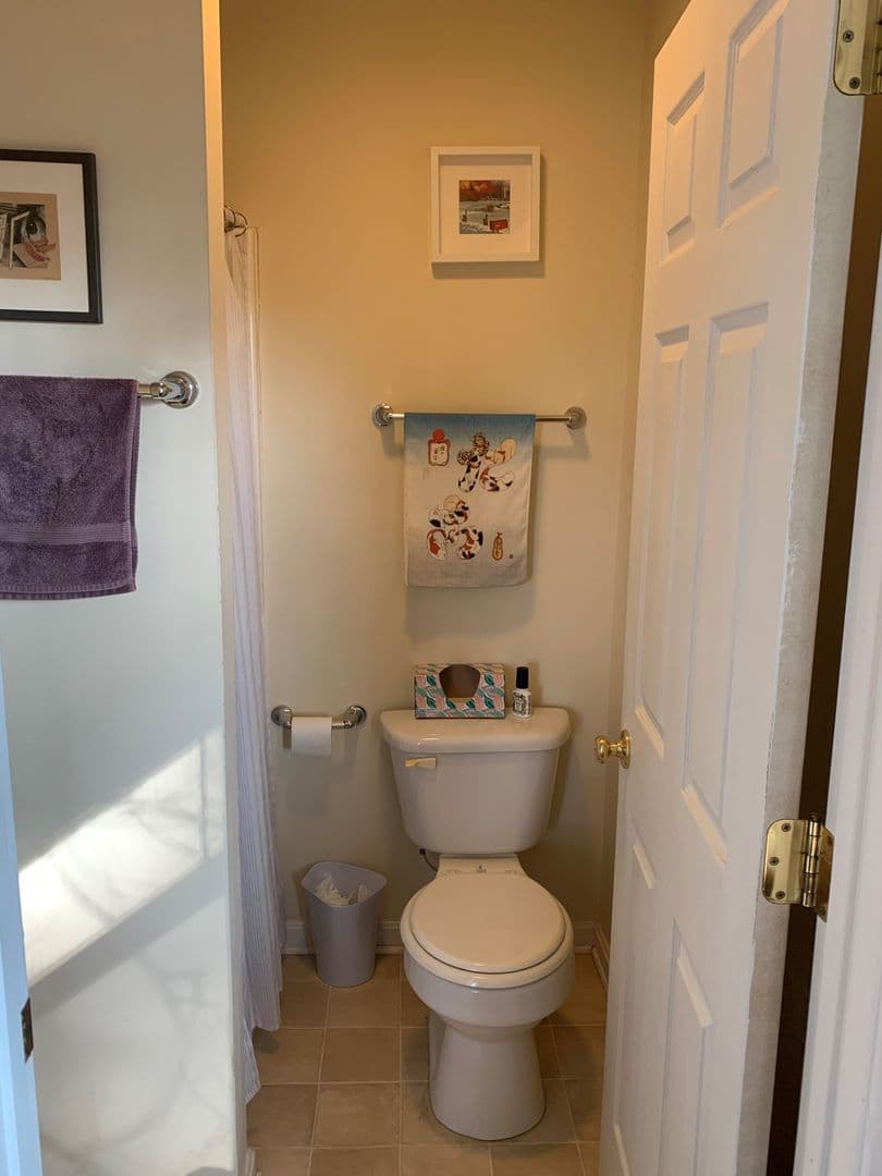 Bloomington House: 715 West Dodds Street