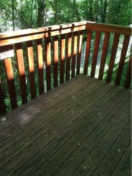 Bloomington Apartment: 732 West 17th Street - 732 West 17th Street